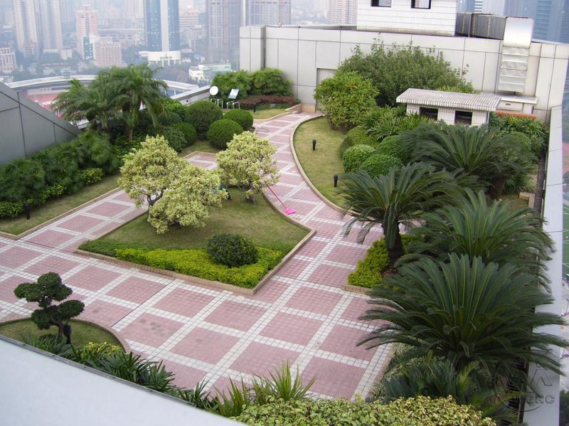 园林绿化的魅力与重要性